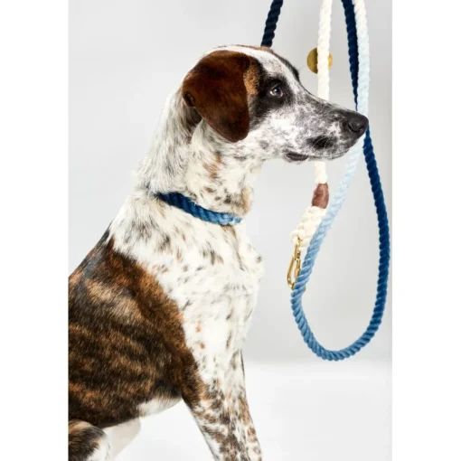 Adjustable Rope Leash, Indigo Ombre