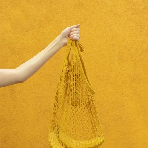 Ami Net Market Tote, Dijon