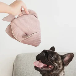 ANGEL FISH Enrichment Dog Toy
