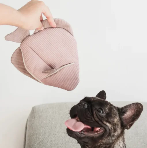 ANGEL FISH Enrichment Dog Toy