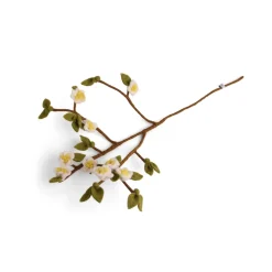 Apple Branch