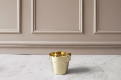 Brushed Brass Flower Pots