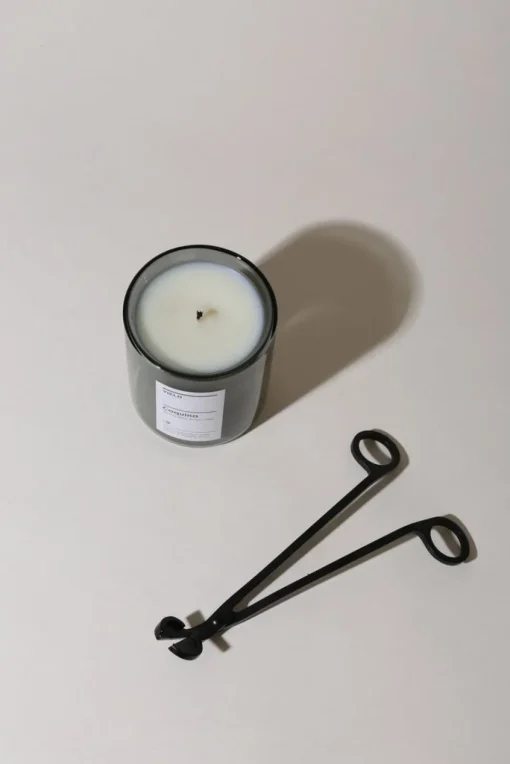 Candle Wick Trimmer