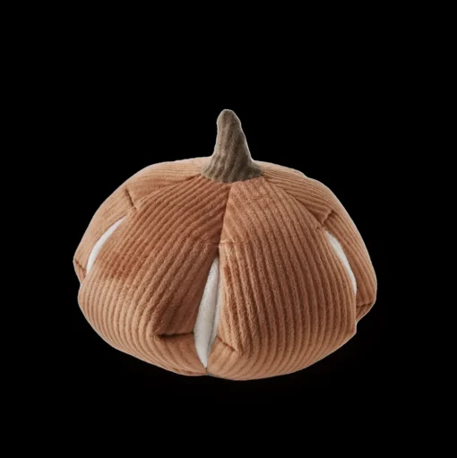 CINDERELLA Silent Enrichment Dog Toy