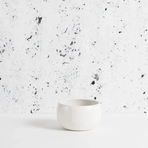 Epa Stoneware Soup Bowl, Matte White