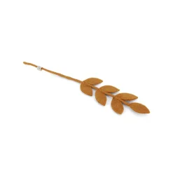 Felt Branch, Brown