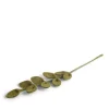 Felt Branch, Sharp Green