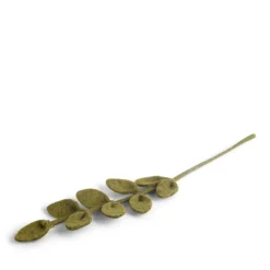 Felt Branch, Sharp Green