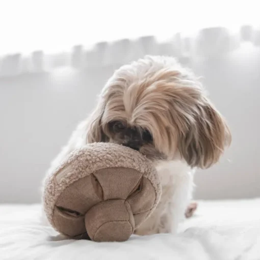 GUU Snuffle Mushroom Nosework Dog Toy