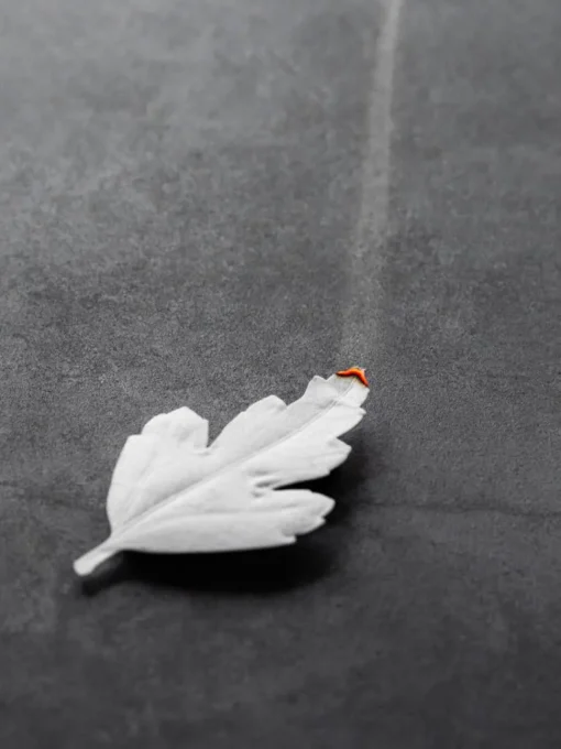 Ha Ko Paper Incense, Sandalwood