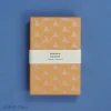 Hataguchi Collective Box Card Set, Jaipur Chai