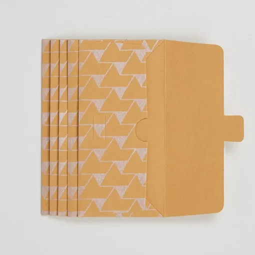 Hataguchi Collective Large Envelope Set, Jaipur Chai