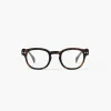 Izipizi Readers Style C, Tortoise