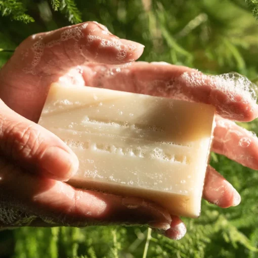 Juniper Ridge Bar Soap, Coastal Pine