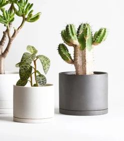 Kinto Porcelain Large Plant Pot, Dark Grey