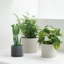 Kinto Porcelain Medium Plant Pot, Light Grey