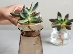Luna Vases