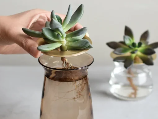 Luna Vases