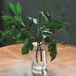 Luna Vases