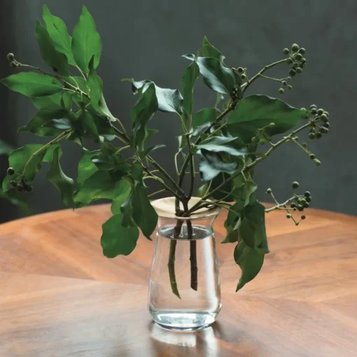 Luna Vases