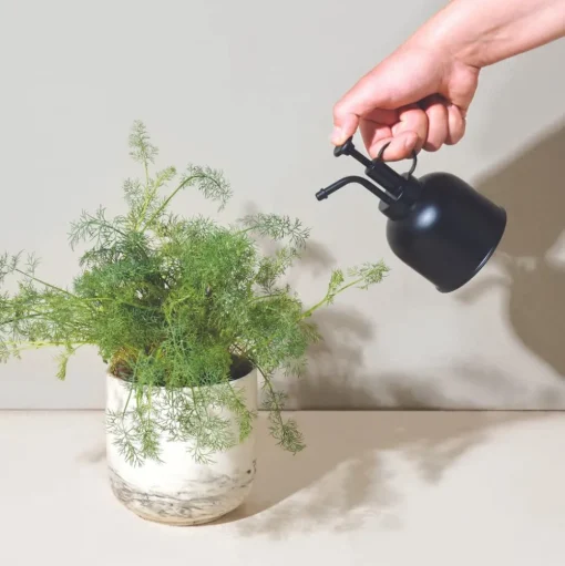 Matte Black Plant Mister