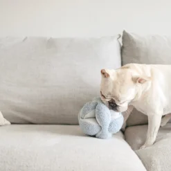 MONTI Snuffle Ball