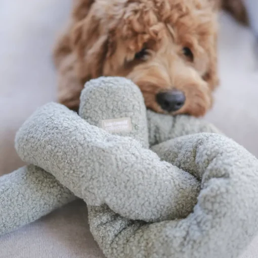 O NOU Enrichment Dog Toy