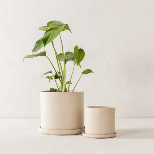 Sand Stoneware Planter 6" - AS-IS