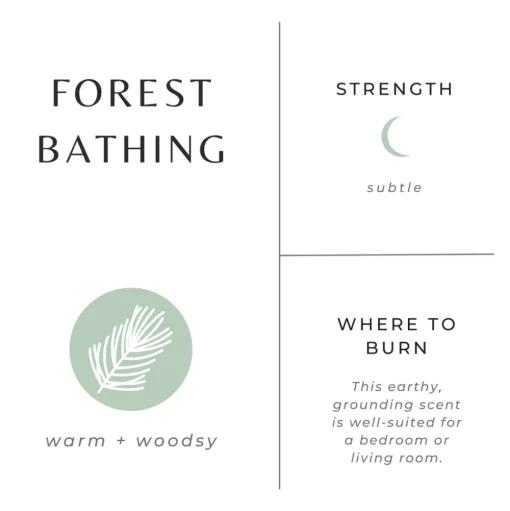 Slow North 'Forest Bathing' Scented Candle