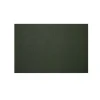Solid Shag Doormat, Cactus