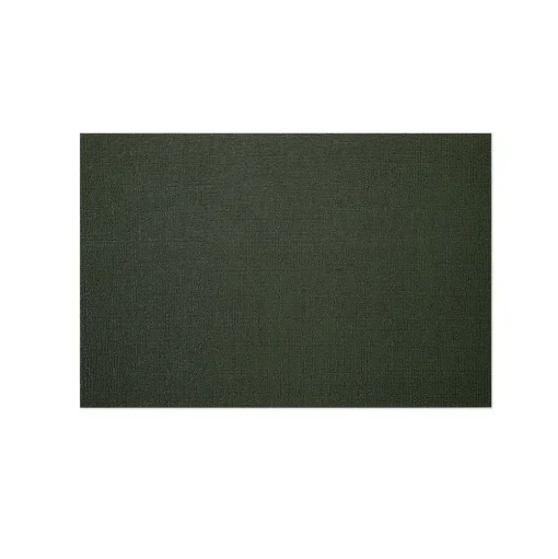 Solid Shag Doormat, Cactus