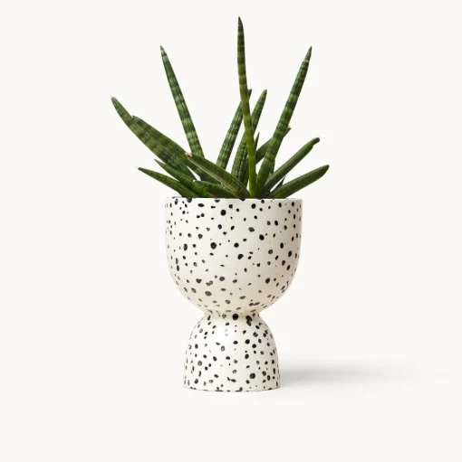 Stacked Planters, Speckled
