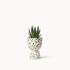 Stacked Planters, Speckled