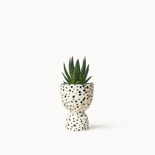 Stacked Planters, Speckled
