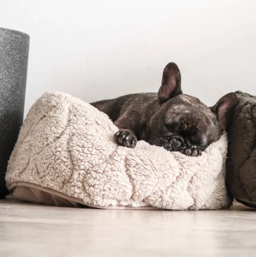 TAART Reversible Pet Bed, Fern