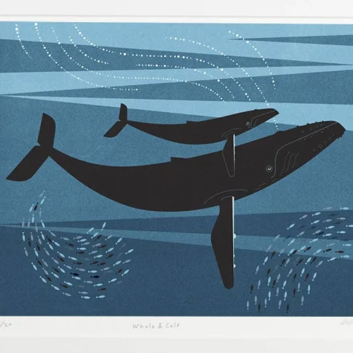 Whale & Calf