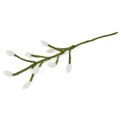 White Flower Buds on Branch