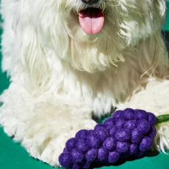 Wool Grapes